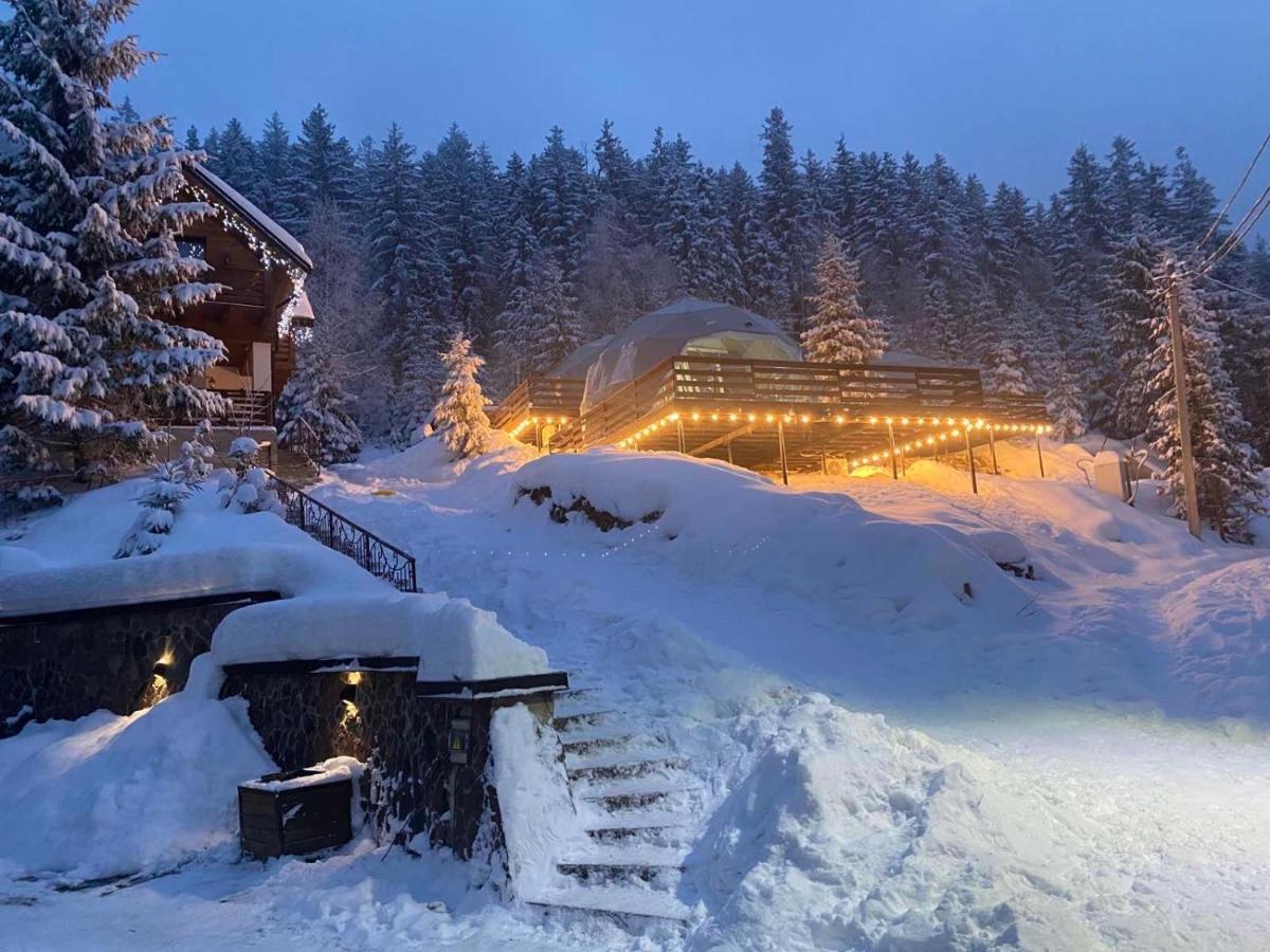 Karpatski Dzherela Yaremche Bagian luar foto