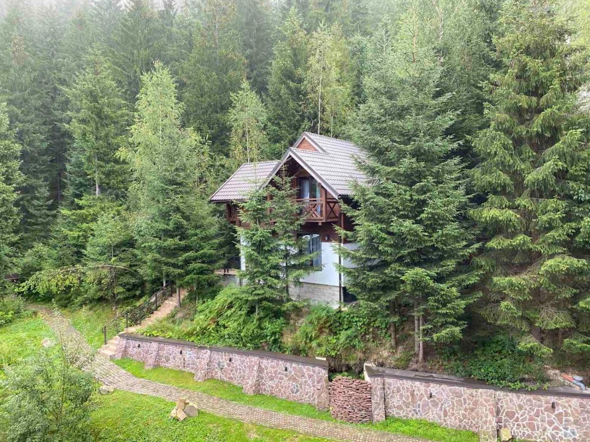 Karpatski Dzherela Yaremche Bagian luar foto