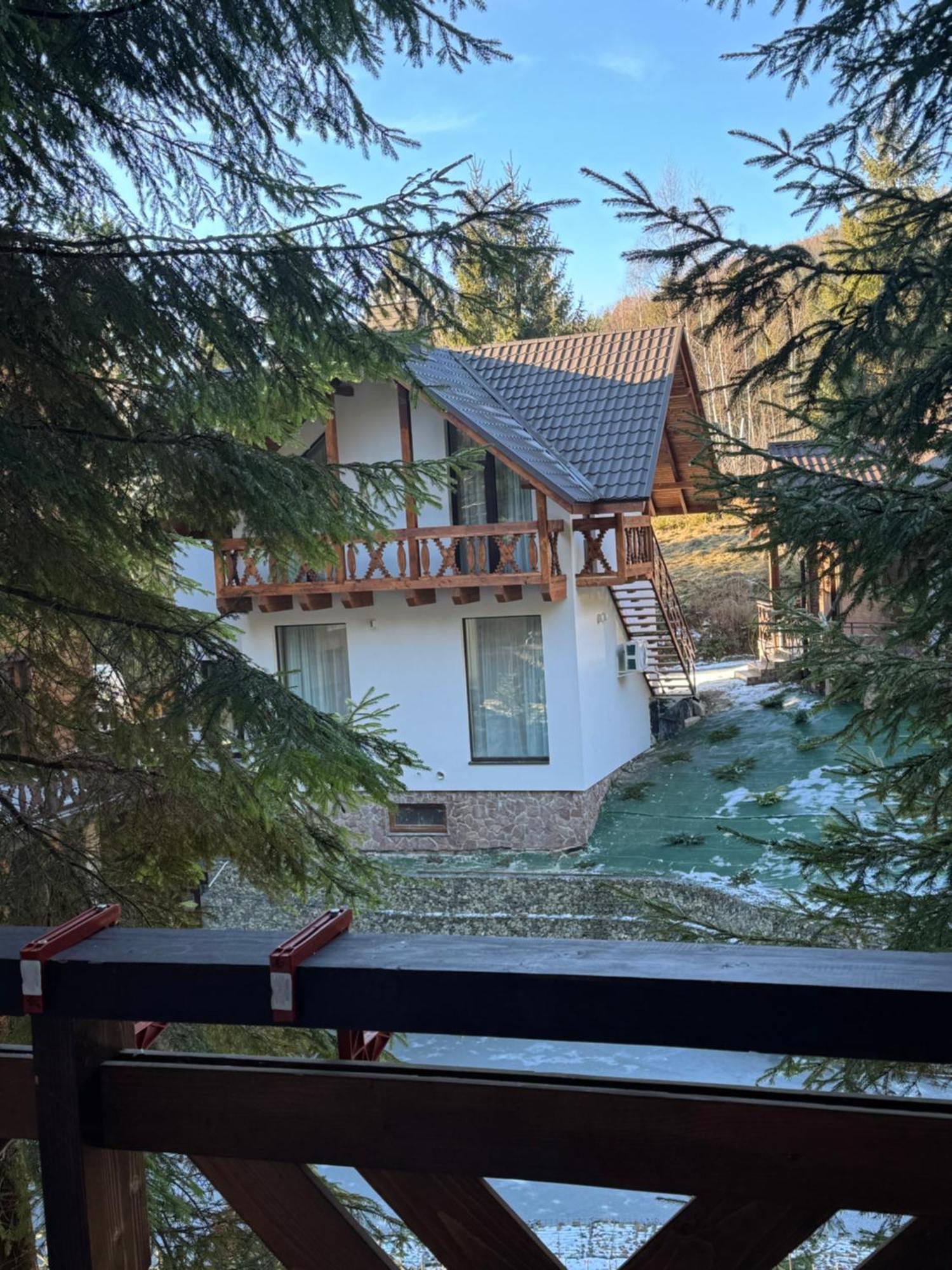 Karpatski Dzherela Yaremche Bagian luar foto