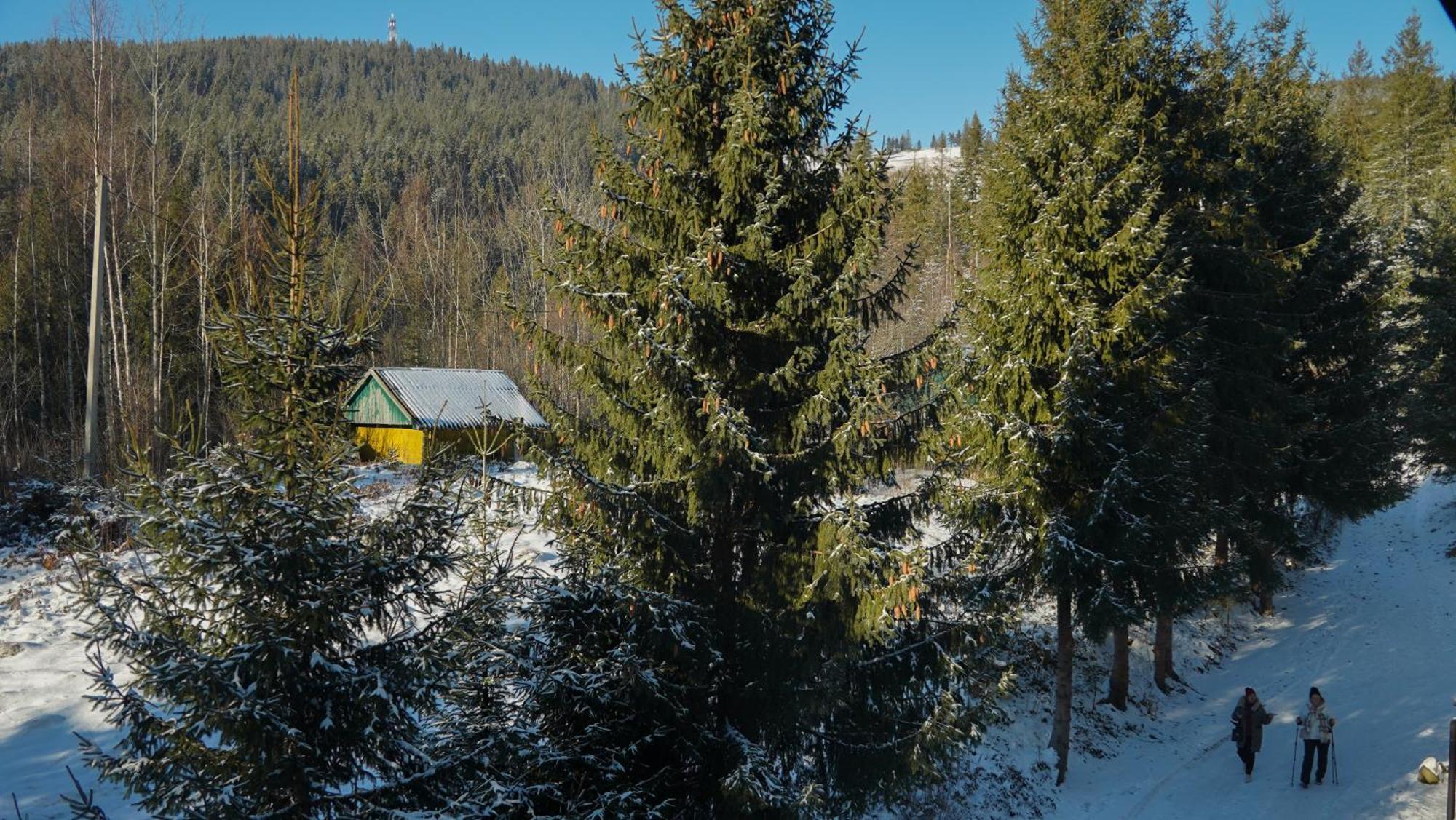 Karpatski Dzherela Yaremche Bagian luar foto