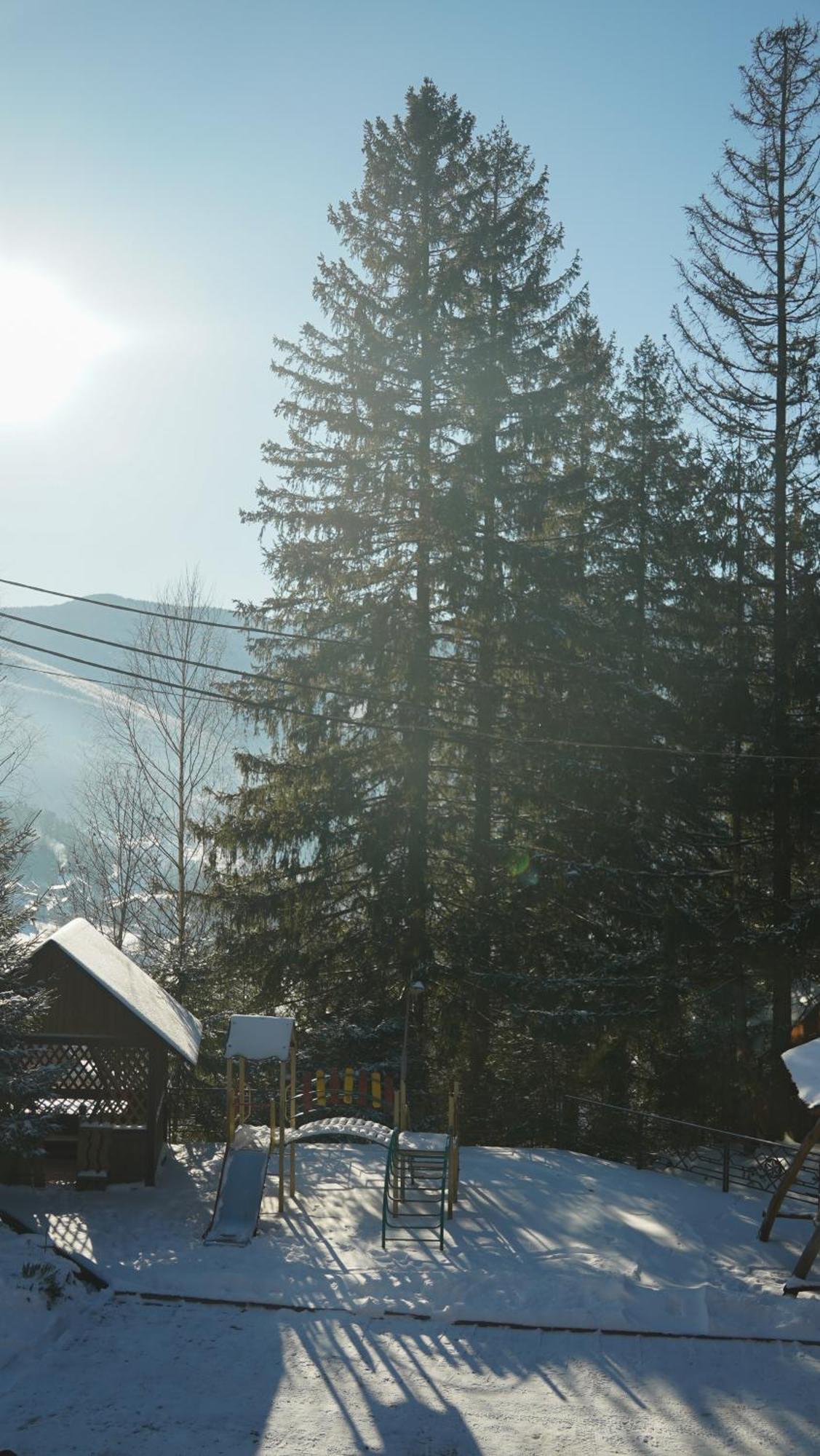 Karpatski Dzherela Yaremche Bagian luar foto