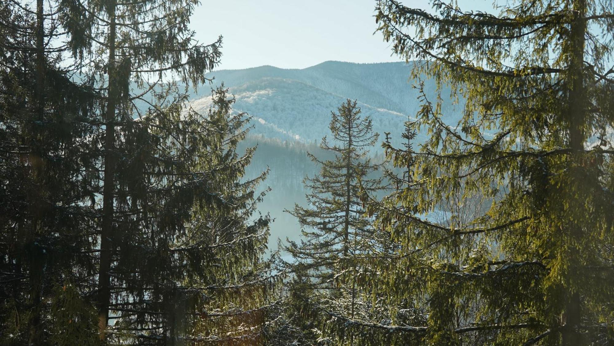 Karpatski Dzherela Yaremche Bagian luar foto